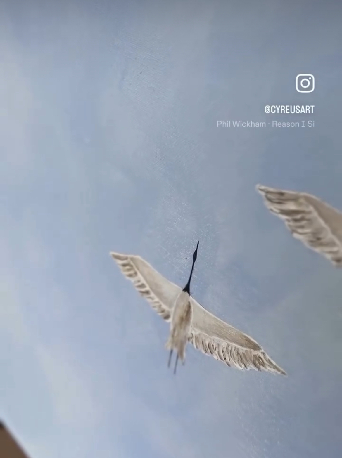 ’Linen collection ’