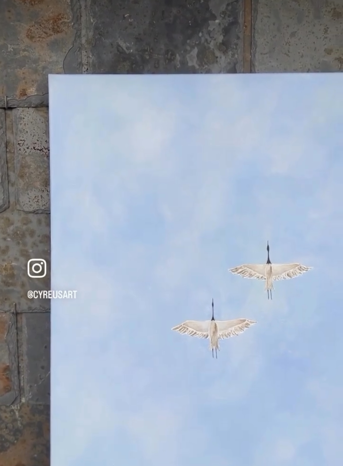 ’Morning walk on the beach’ 